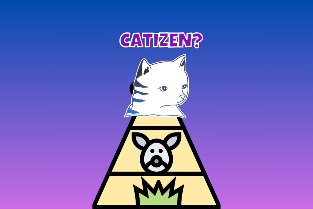 Catizens vs. Cats & Dogs: A Furry Showdown in the Play-and-Earn Kingdom